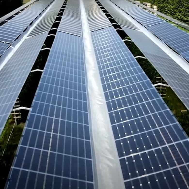 Solar panels for sustainable energy on the island of Martinique.