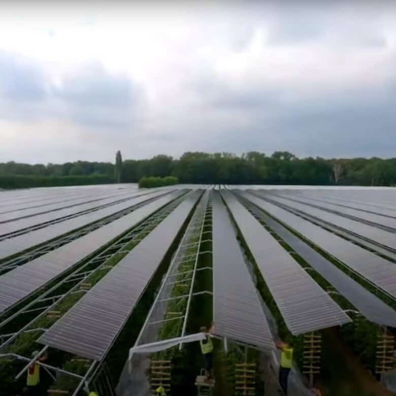 Solar energy farm on Martinique for eco-friendly investment and high returns.