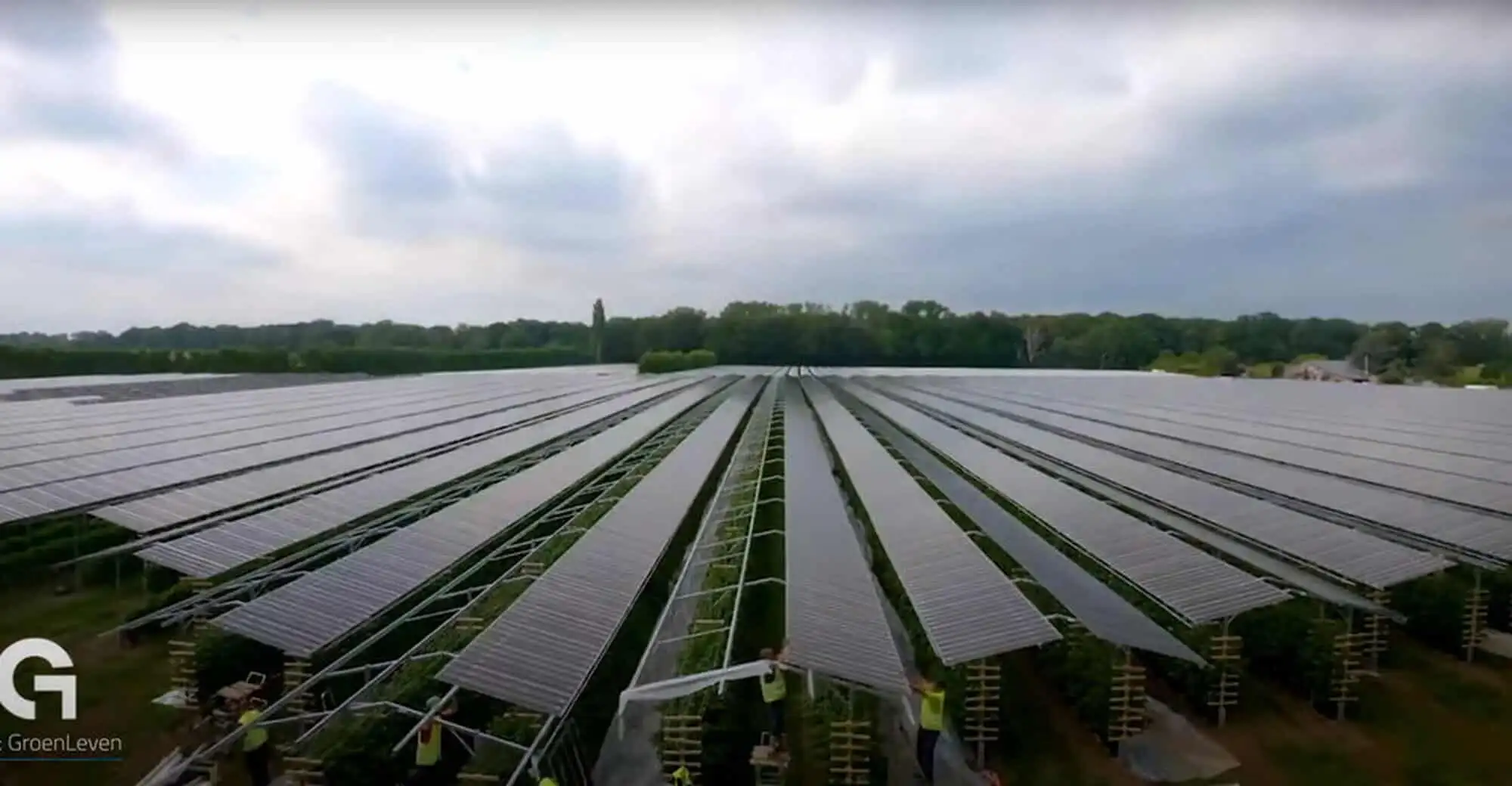Solar energy farm on Martinique for eco-friendly investment and high returns.