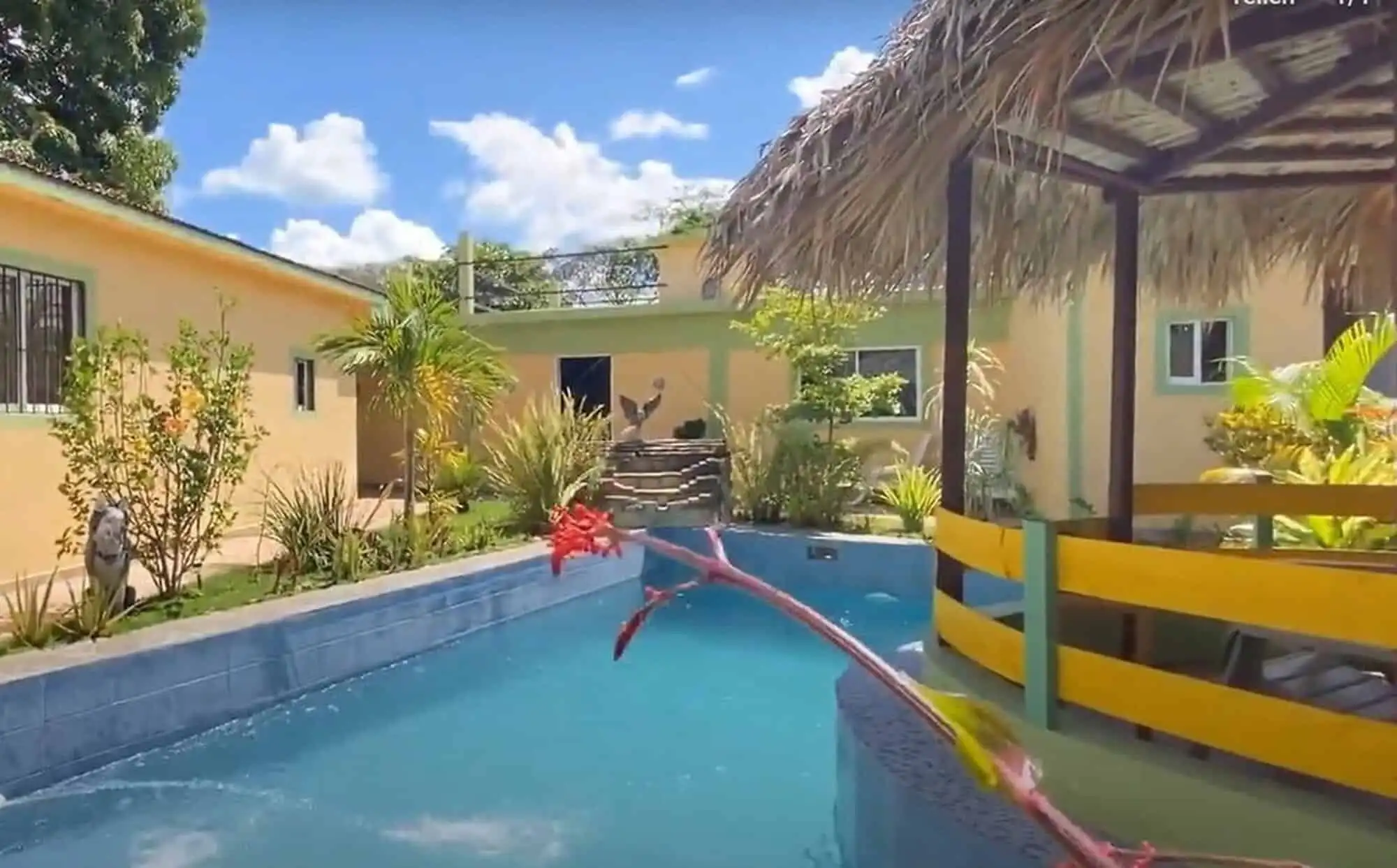 Pool area with tropical plants and thatched-roof gazebo at Park Estate, Dominican Republic.