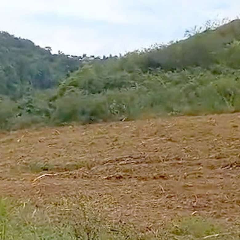 Holiday Resort land for sale in Martinique island, ideal for investment or development.