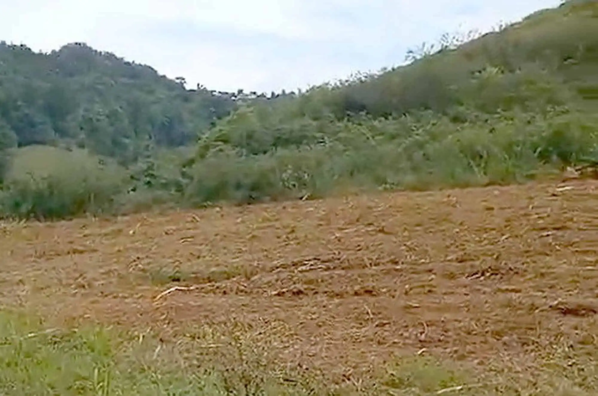 Holiday Resort land for sale in Martinique island, ideal for investment or development.