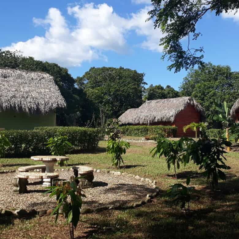 Beautiful tropical garden with traditional thatched-roof huts in the Dominican Republic.