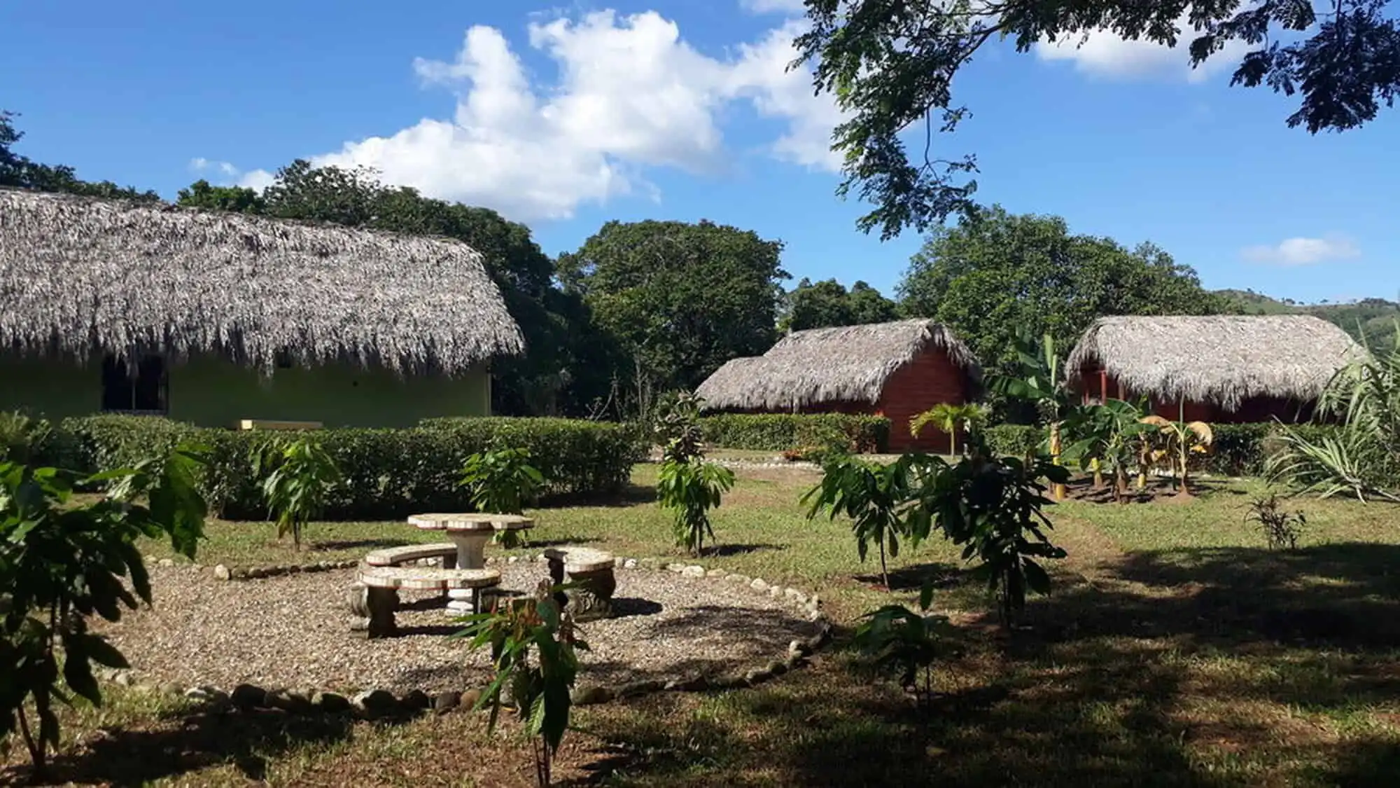 Beautiful tropical garden with traditional thatched-roof huts in the Dominican Republic.
