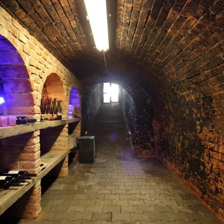 House with outbuildings, pool, and vineyard in Vinica, Slovakia, set in a historic brick cellar.