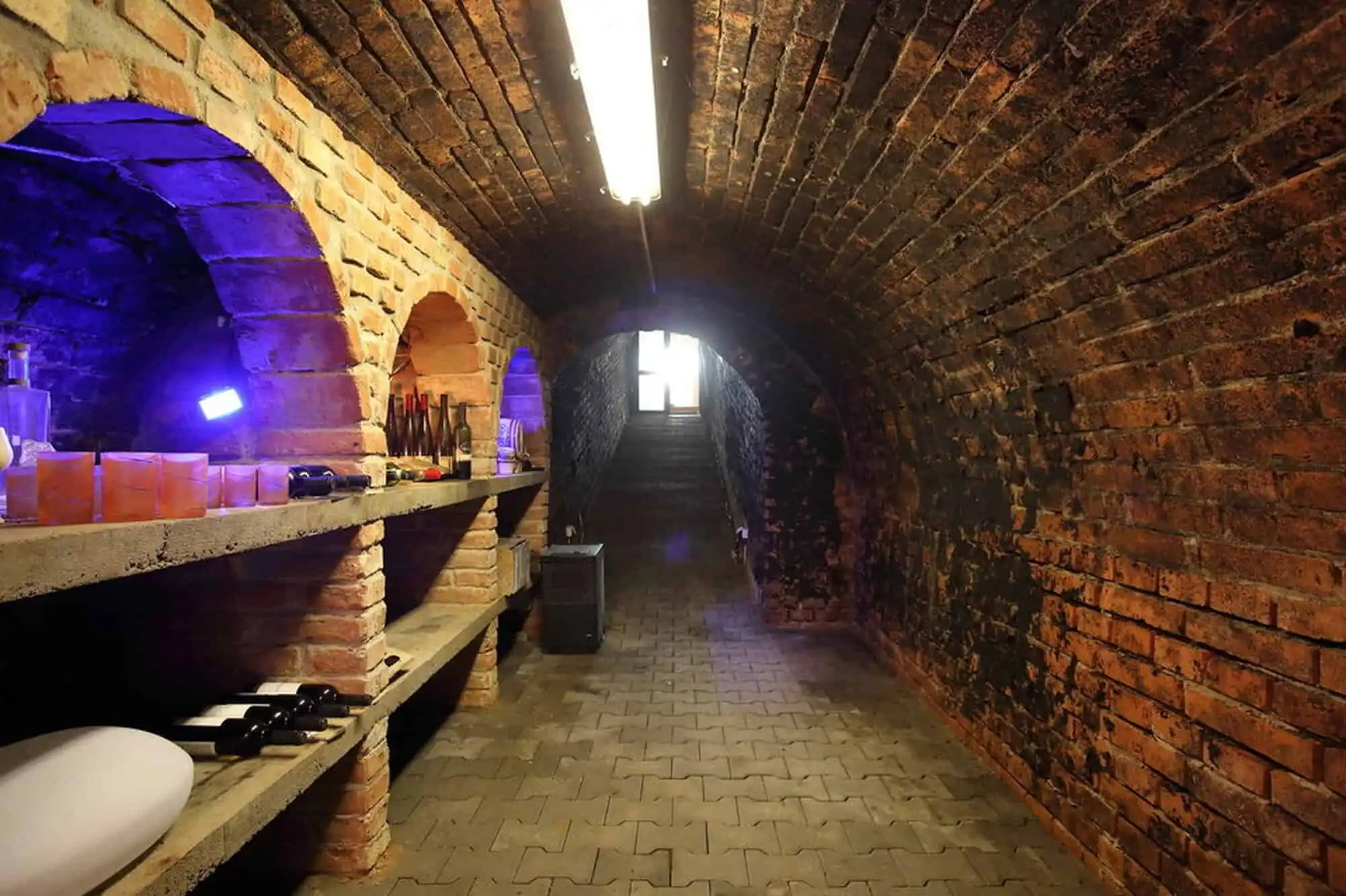 House with outbuildings, pool, and vineyard in Vinica, Slovakia, set in a historic brick cellar.