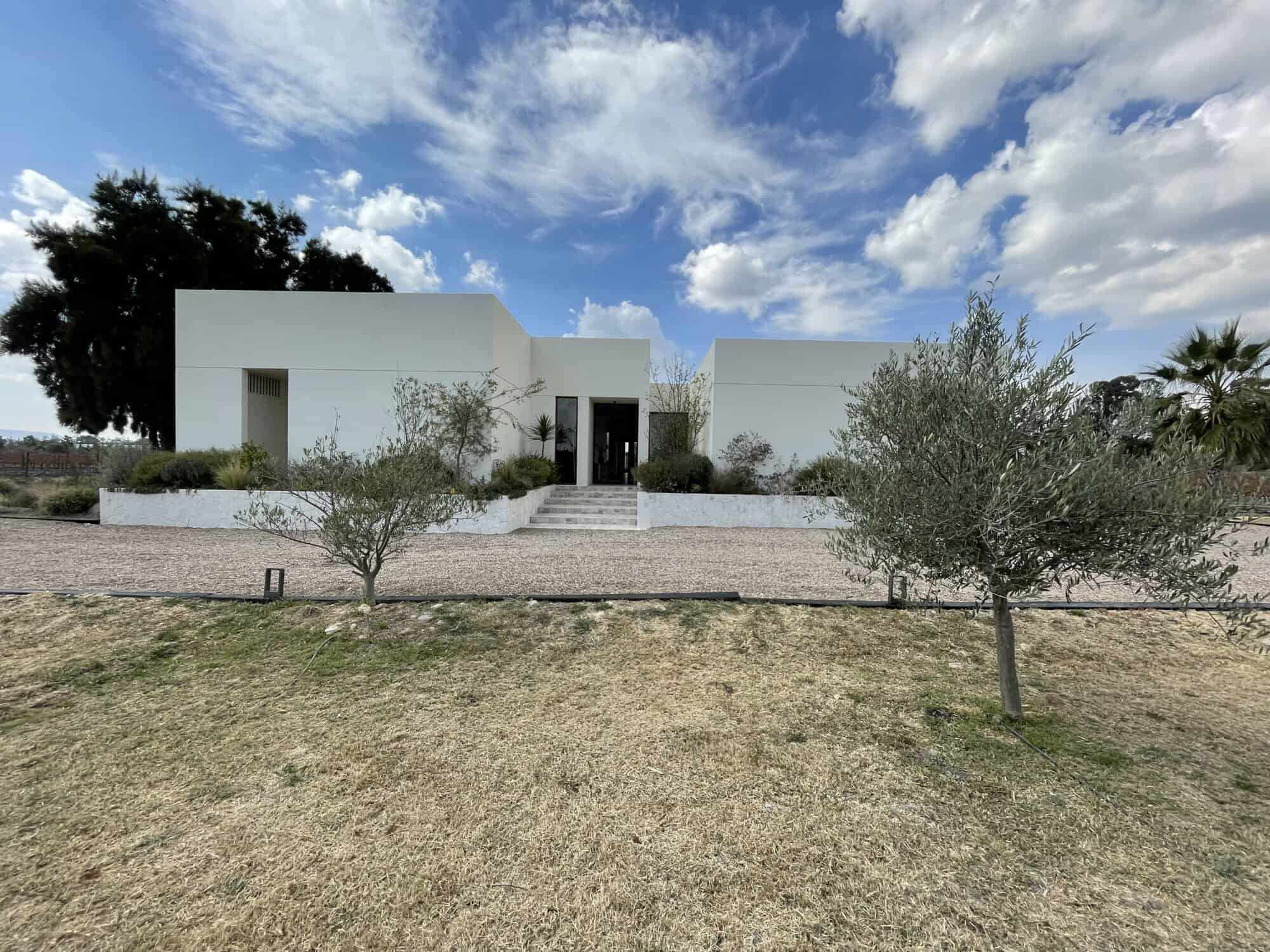 Luxurious vineyard estate with modern architecture near San Miguel de Allende, perfect for wine love.