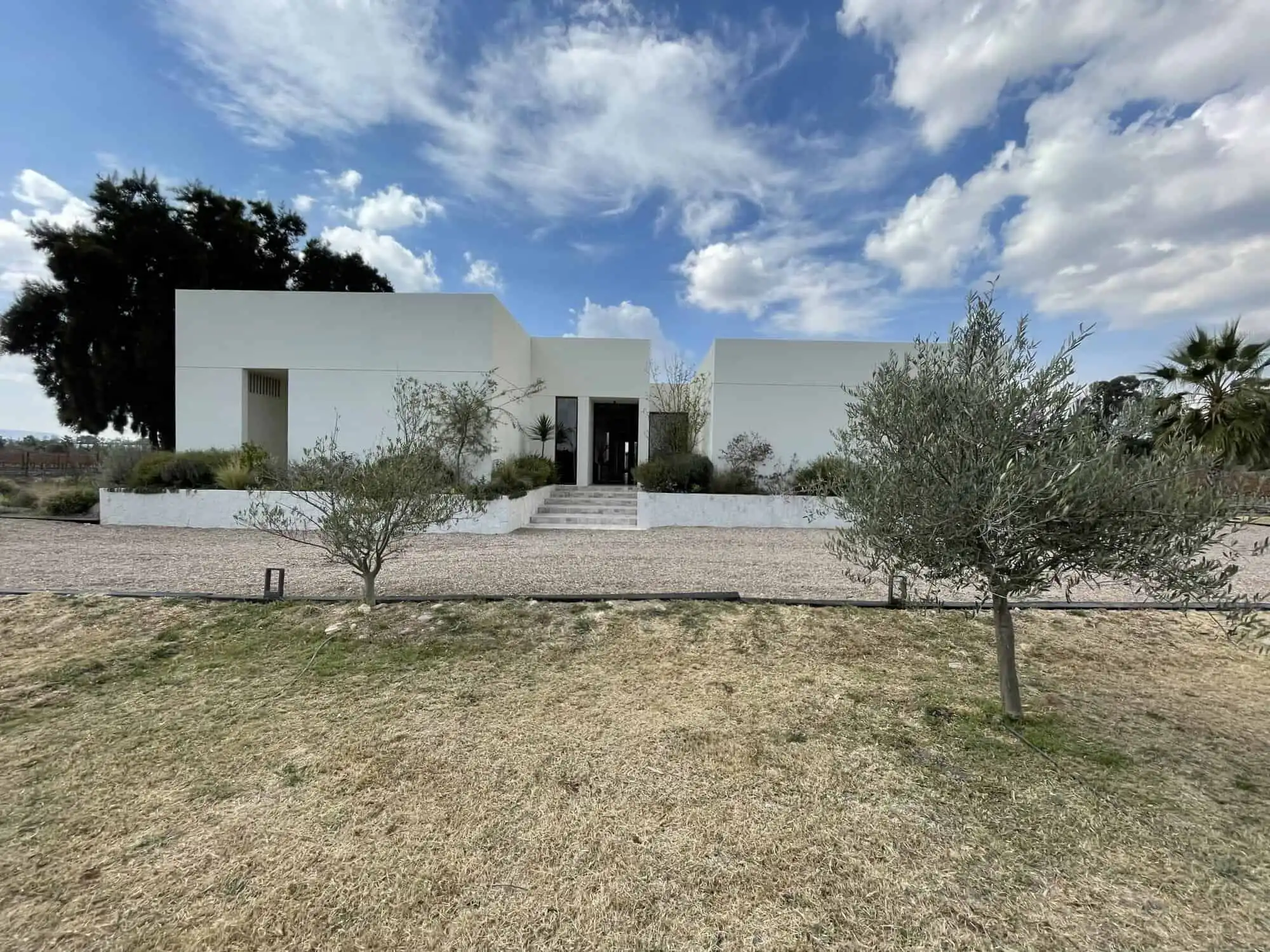 Luxurious vineyard estate with modern architecture near San Miguel de Allende, perfect for wine love.