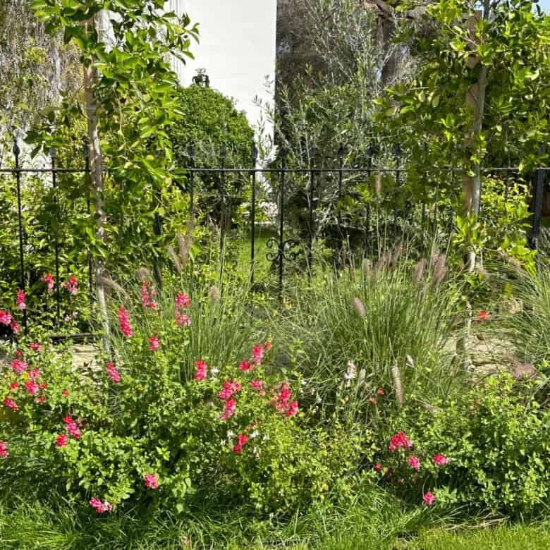 Beautiful garden of a luxury 4-bedroom villa in Kyrenia North with lush greenery and colorful flower.