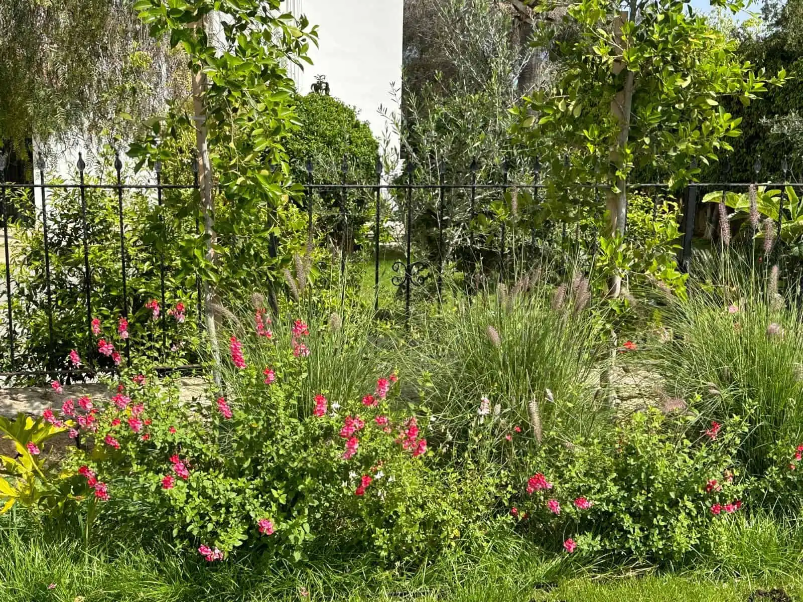 Beautiful garden of a luxury 4-bedroom villa in Kyrenia North with lush greenery and colorful flower.