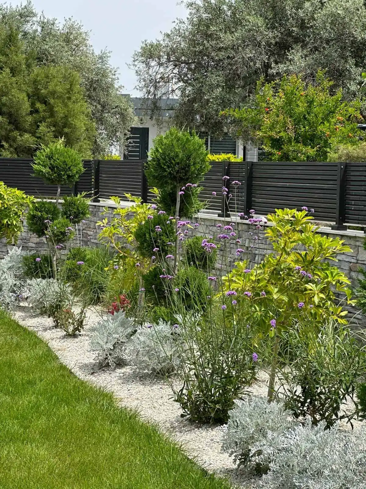 Elegant garden with lush greenery and colorful flowers in Kyrenia North.