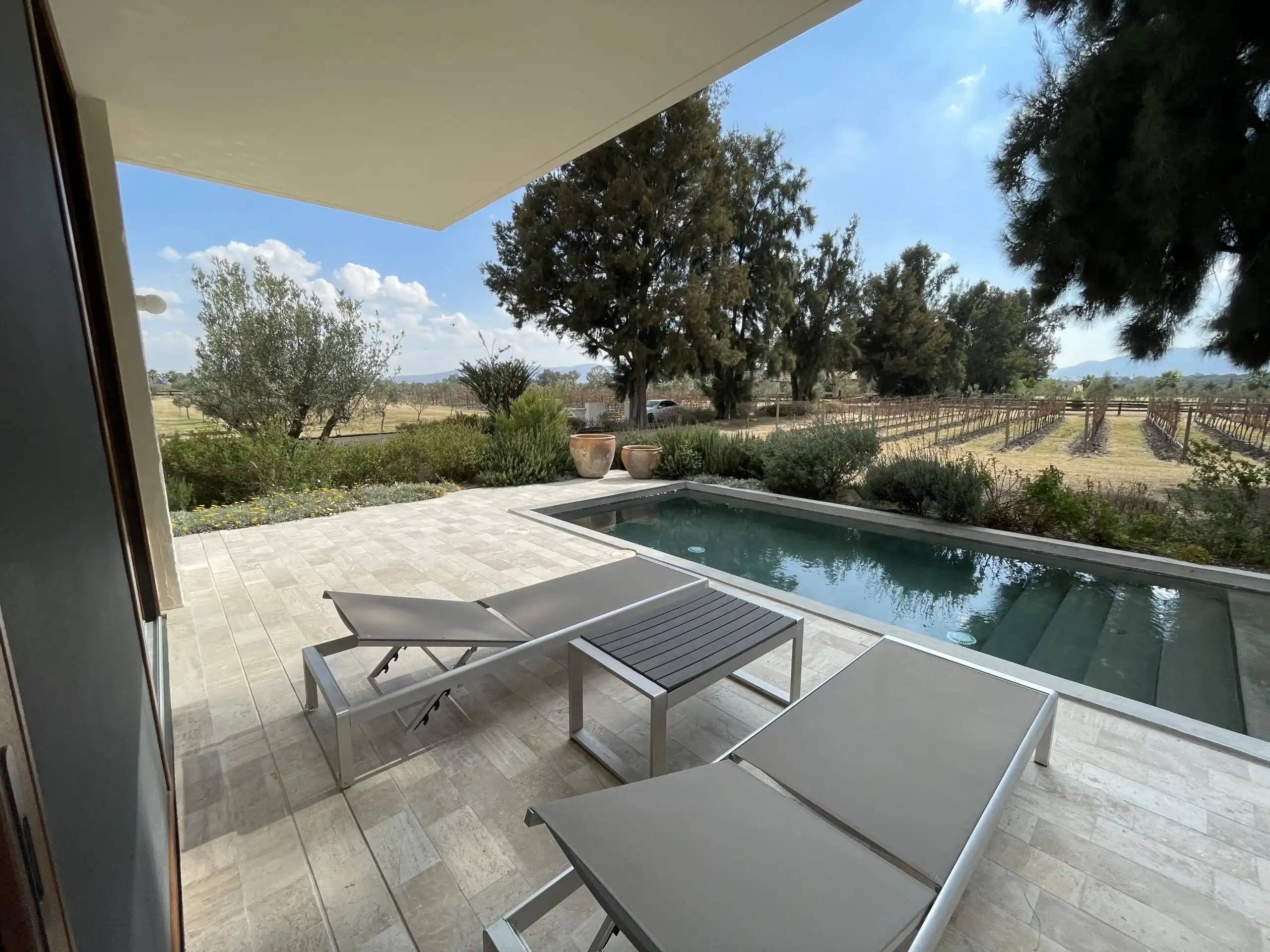 Luxury Vineyard Estate Pool View Vineyard estate with private pool in San Miguel de Allende, Mexico.