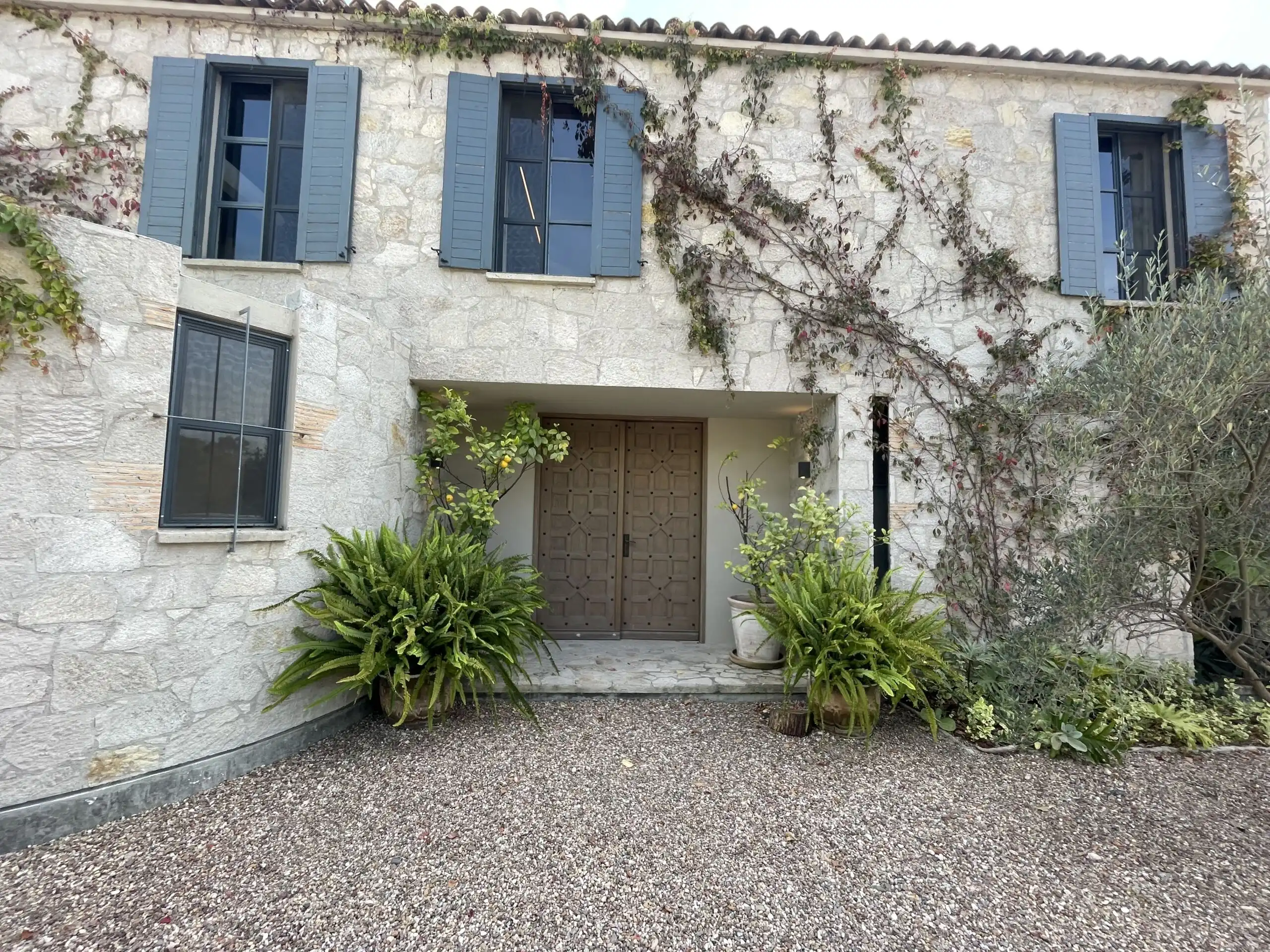 Stone house entrance with blue shutters and lush greenery in San Miguel de Allende.