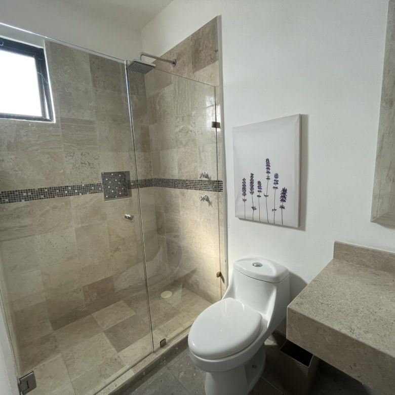 Bathroom with walk-in shower, toilet, and modern sink in Santo Domingo home tour.