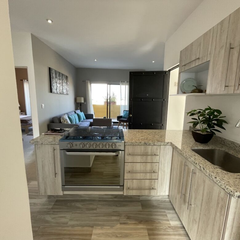 Spacious 2-bedroom apartment with modern kitchen and open living area in San Miguel de Allende.