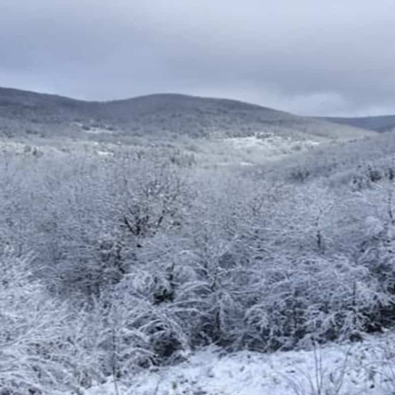 Beautiful winter landscape of snow-covered hills and forests near Rogulyat Mlechevo, Troyan.