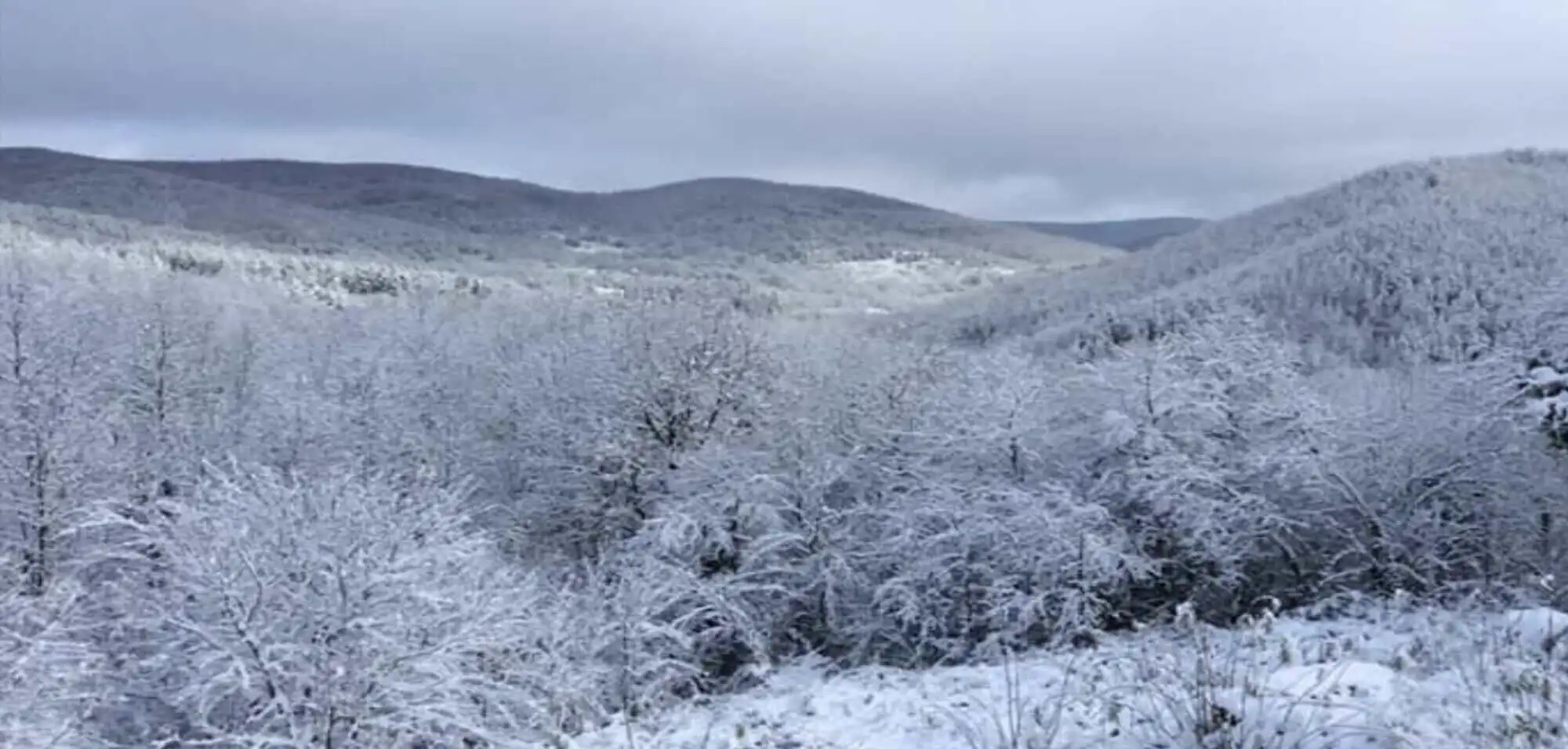 Beautiful winter landscape of snow-covered hills and forests near Rogulyat Mlechevo, Troyan.