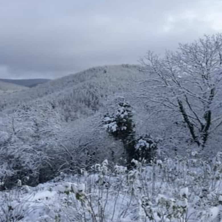 Beautiful winter landscape of Rogulyat Mlechevo with snow-covered trees and hills.
