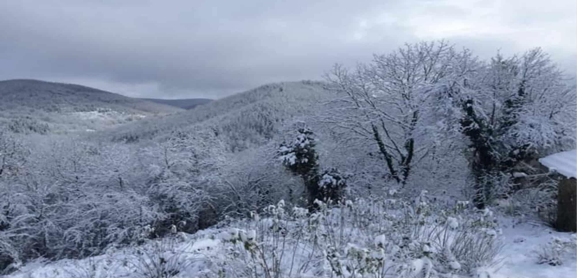 Beautiful winter landscape of Rogulyat Mlechevo with snow-covered trees and hills.