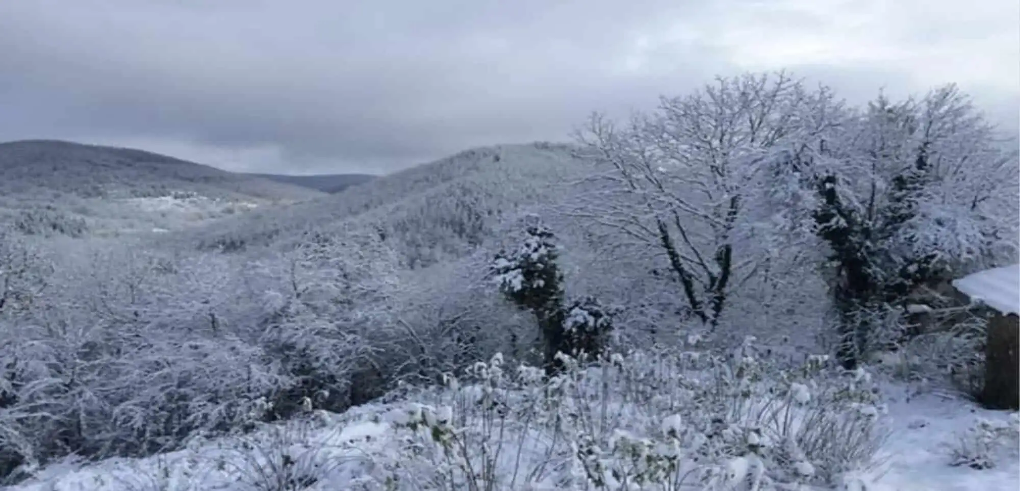Beautiful winter landscape of Rogulyat Mlechevo with snow-covered trees and hills.