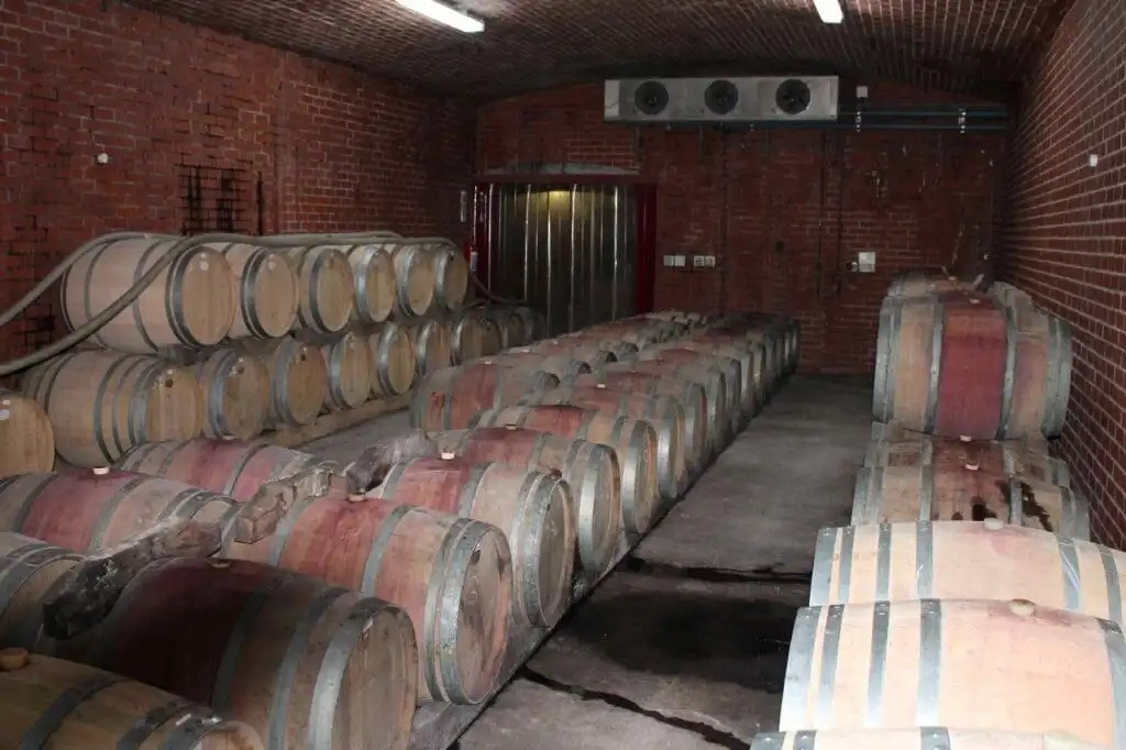 Wine & Olive Cellar in Wellington, Western Cape, South Africa.