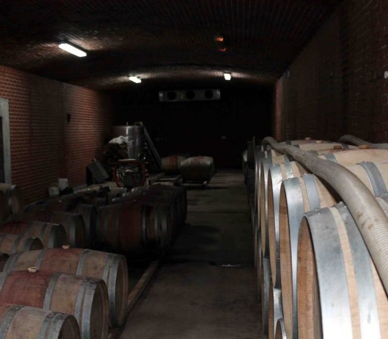 Wine cellar with barrels for aging wine in a dark, brick-walled cellar.
