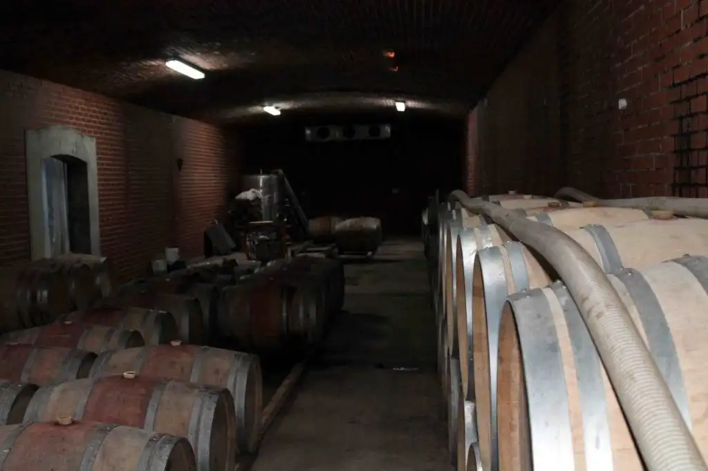 Wine cellar with barrels for aging wine in a dark, brick-walled cellar.