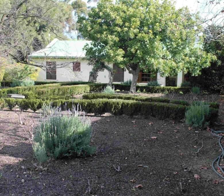 Wine & Olive Estate in Wellington, Western Cape, South Africa.