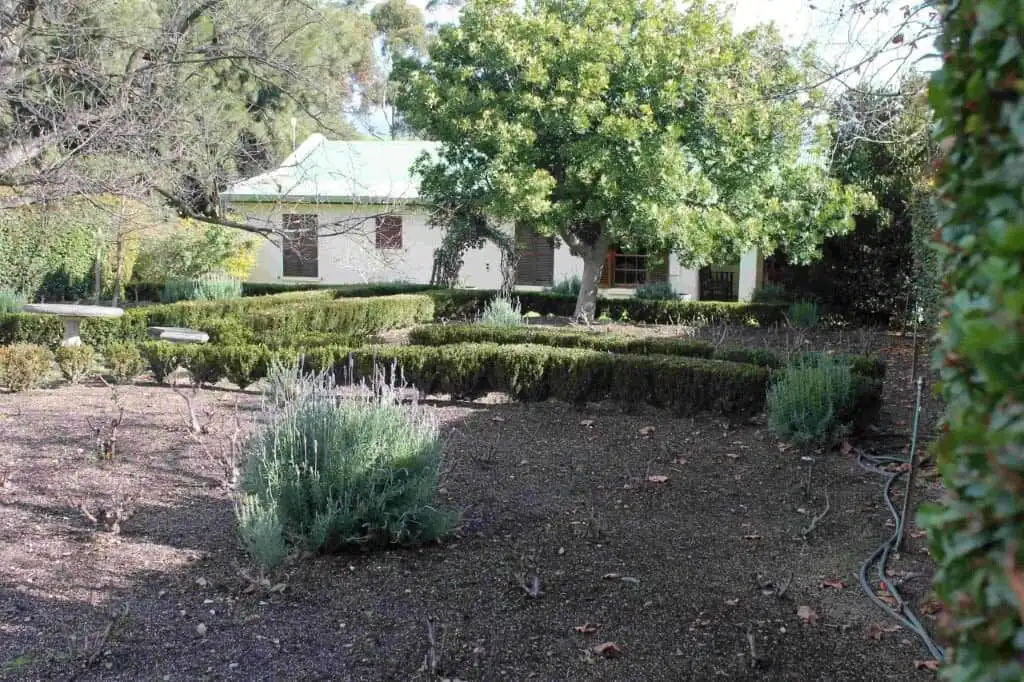 Wine & Olive Estate in Wellington, Western Cape, South Africa.