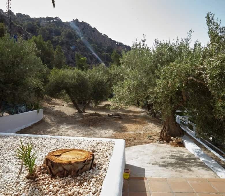 Beautiful country estate in La Cerradura, Jaen, featuring mature olive trees and scenic mountain vie.