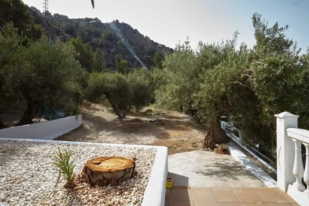 Beautiful country estate in La Cerradura, Jaen, featuring mature olive trees and scenic mountain vie.