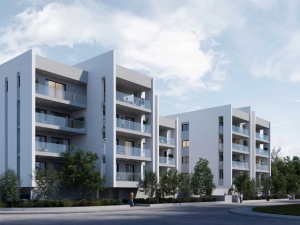 ch143 olive lr 1 large large 1