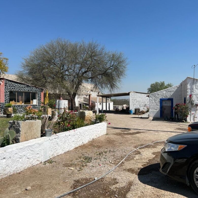 Ranch property for sale with spacious outdoor area, mature trees, and charming buildings, ideal for.