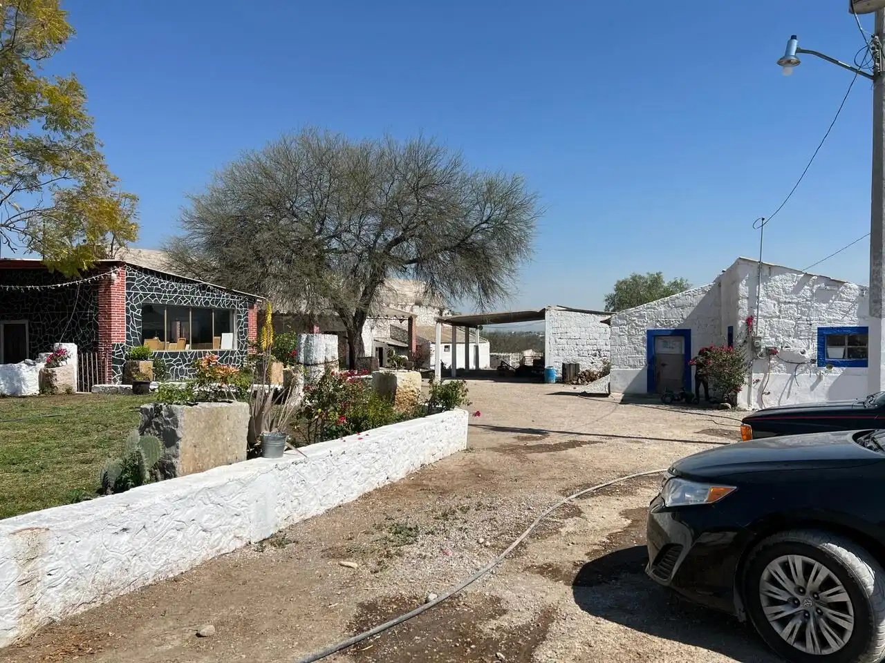 Ranch property for sale with spacious outdoor area, mature trees, and charming buildings, ideal for.