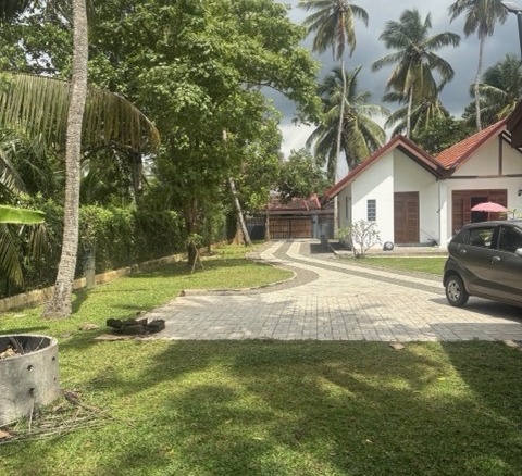 garden view between houses Medium
