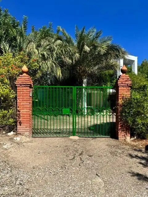 Beautiful green gate leading to a lush garden with palm trees in Guadassuar Valencia.
