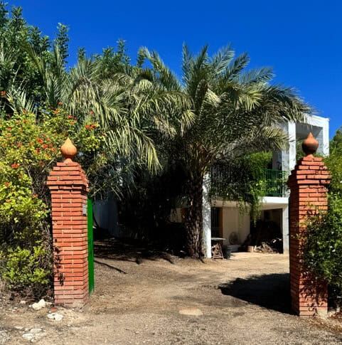 Beautiful villa with lush garden and palm trees in Guadassuar, Valencia, ideal for comfortable livin.
