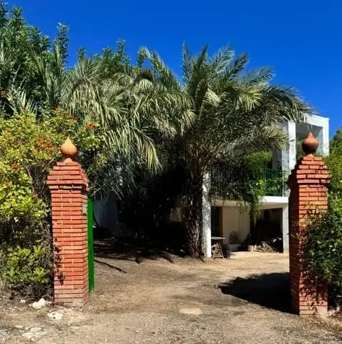 Beautiful villa with lush garden and palm trees in Guadassuar, Valencia, ideal for comfortable livin.