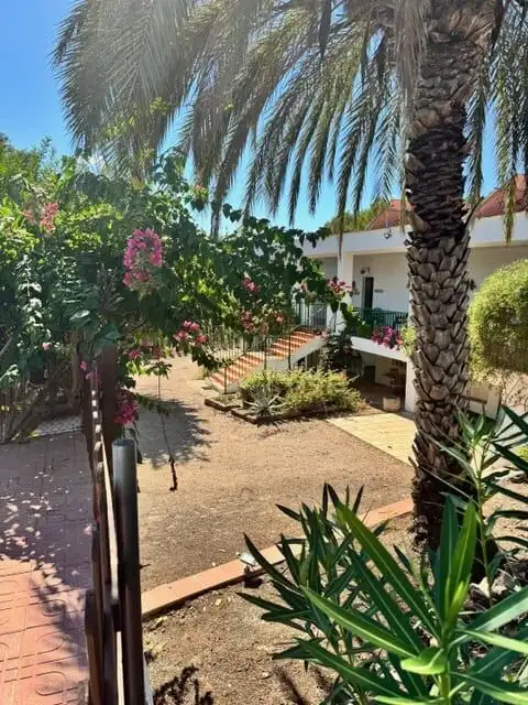 Beautiful garden view of a 3-bed villa in Guadassuar, Valencia, with lush greenery and palm trees.