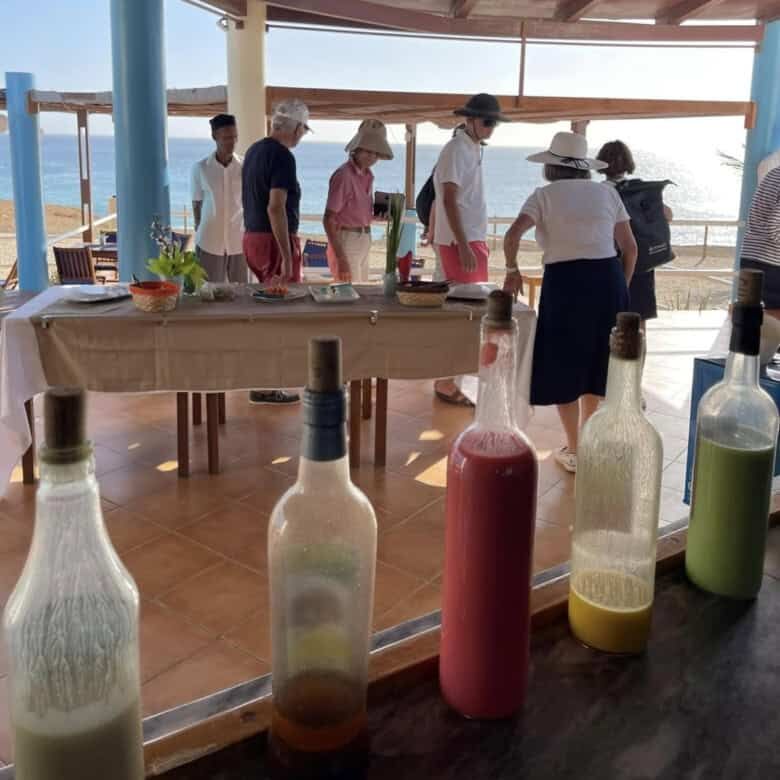 Beautiful seaside restaurant with guests enjoying a meal overlooking the ocean.