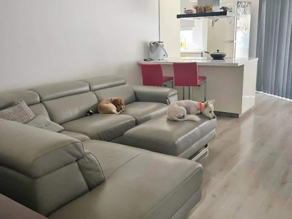 whatsapp image 2025 03 27 at 131603 2 copy large