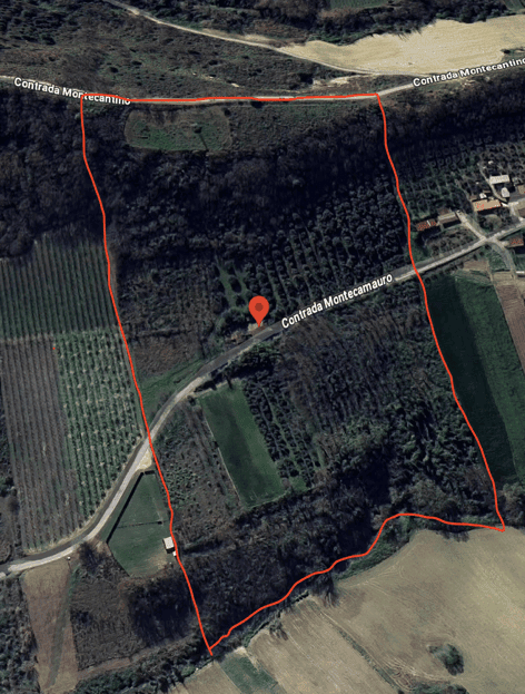 Farmhouse for sale in Campofilone, Fermo, Marche, ideal for renovation projects.