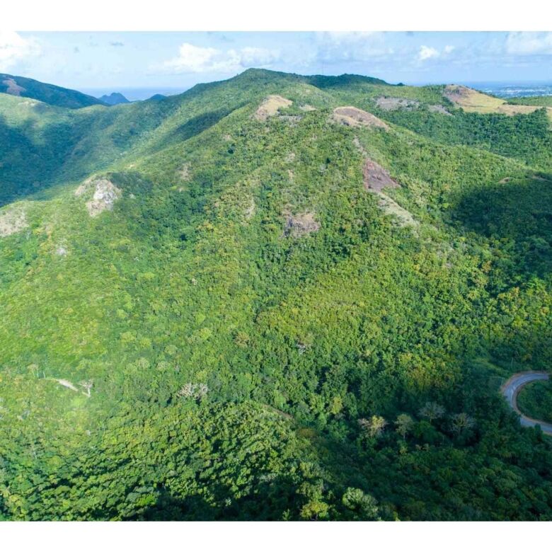 Land for sale in Saint Marys Parish, Antigua, with lush green hills and scenic views.