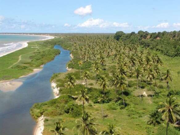 Beautiful land with palm trees and river in Lucena, ideal for development or investment purposes.