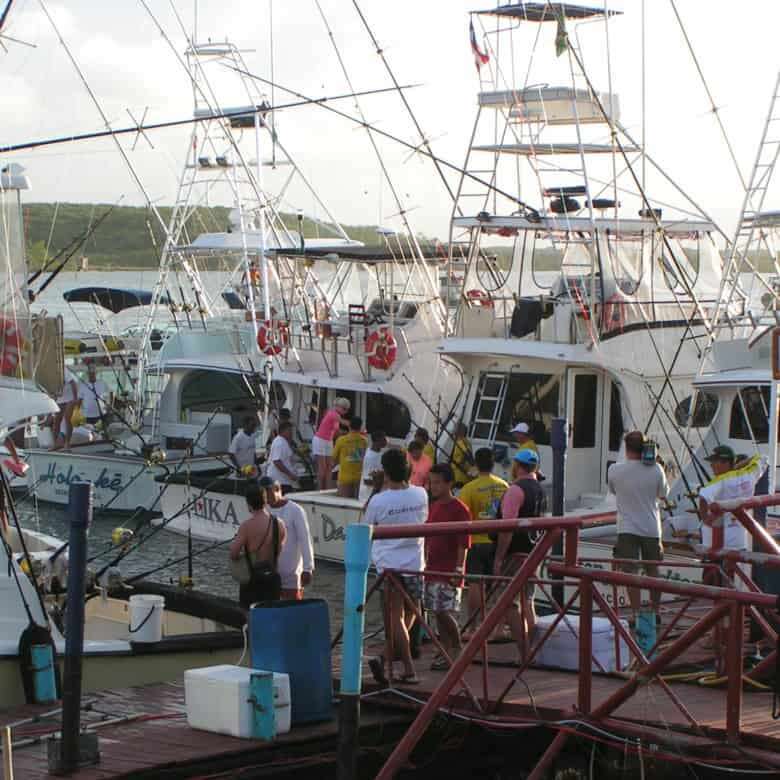 Beautiful boats docked at Bahia marina with tourists and visitors.