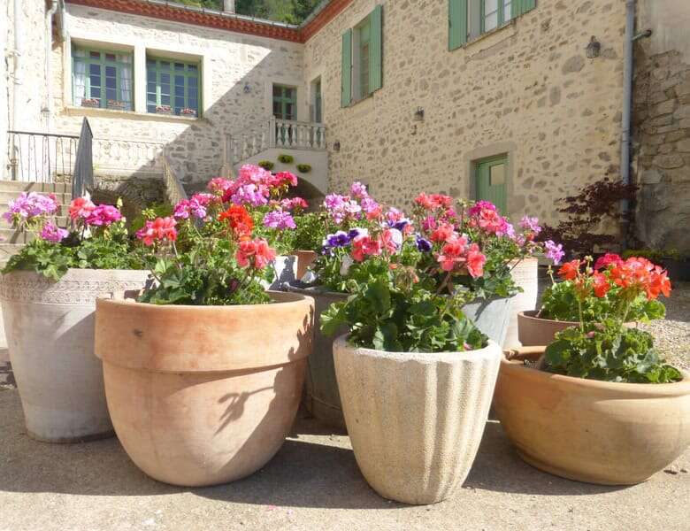 Elegant estate with colorful flower pots in Branoux les Taillades.