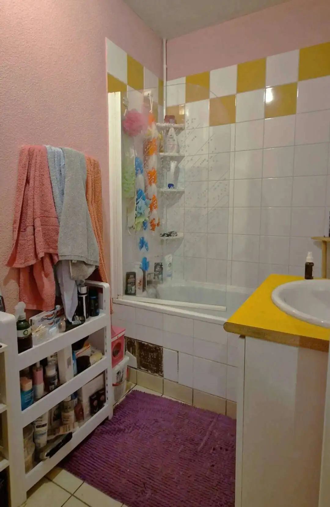 Bathroom with shower, colorful towels, and storage shelves in a Parisian residence.