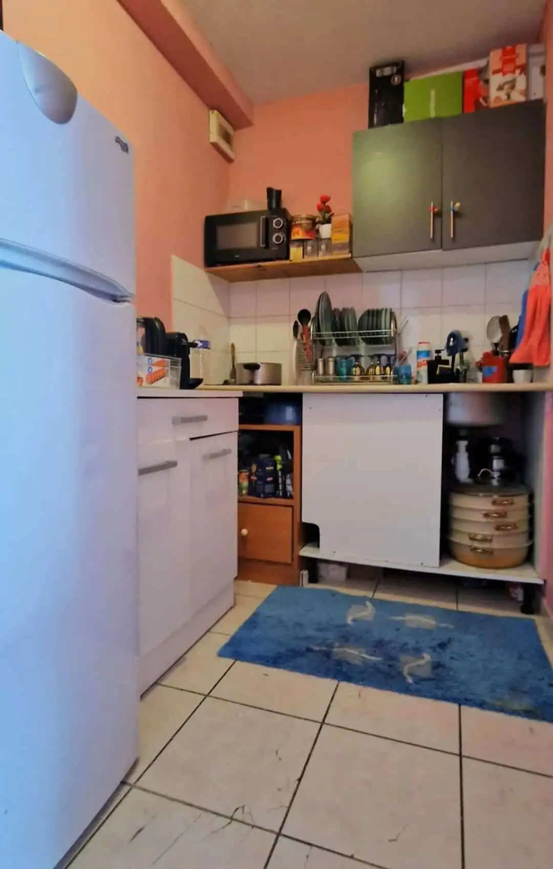 Modern kitchen with appliances in Paris apartment for sale.
