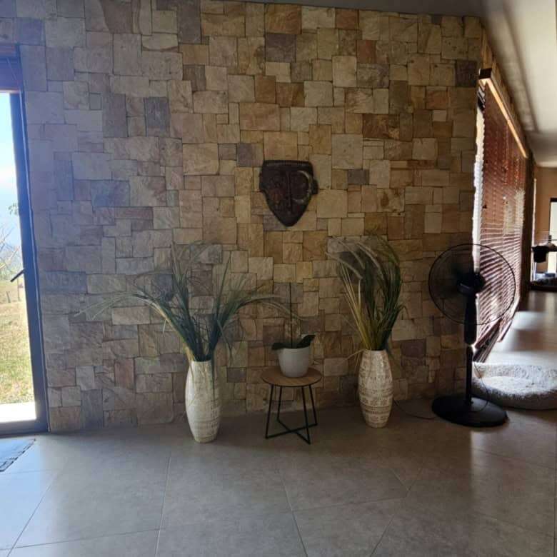 Stylish interior with stone accent wall, potted plants, and natural lighting in Miramar de Puntarena.