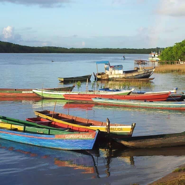 Bahia coastal scene with colorful boats and lush greenery.